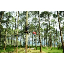 6 Permainan Team Building Inflatable yang Cocok untuk Employee Gathering
